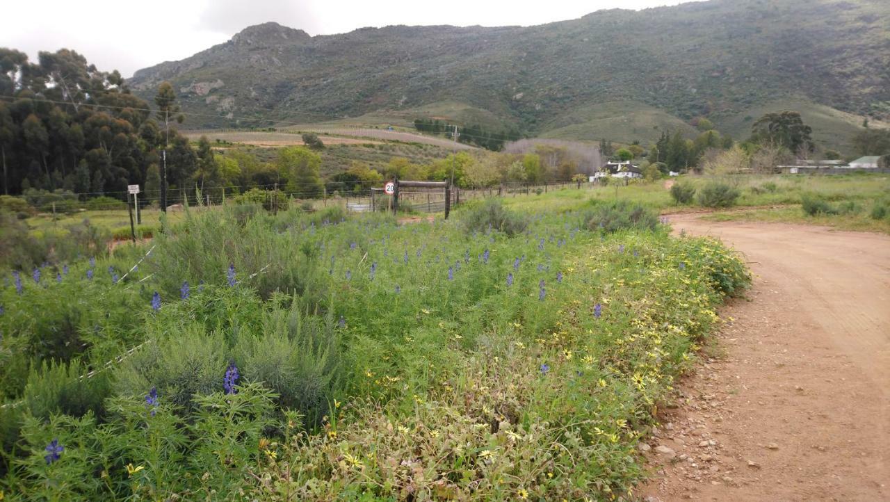 Vila Brambleberry Farm Riebeek-Kasteel Exteriér fotografie